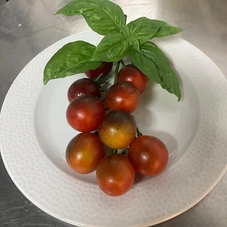 Garisenda -b&b&brunch In Centro A Riccione- Hotel Riccione